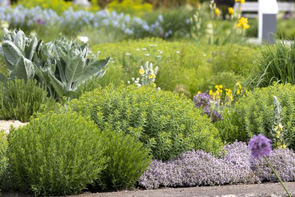 BUGA Erfurt, Mediterrane Pflanzung, Planung: Petra Pelz, Foto: Sylvia Knittel