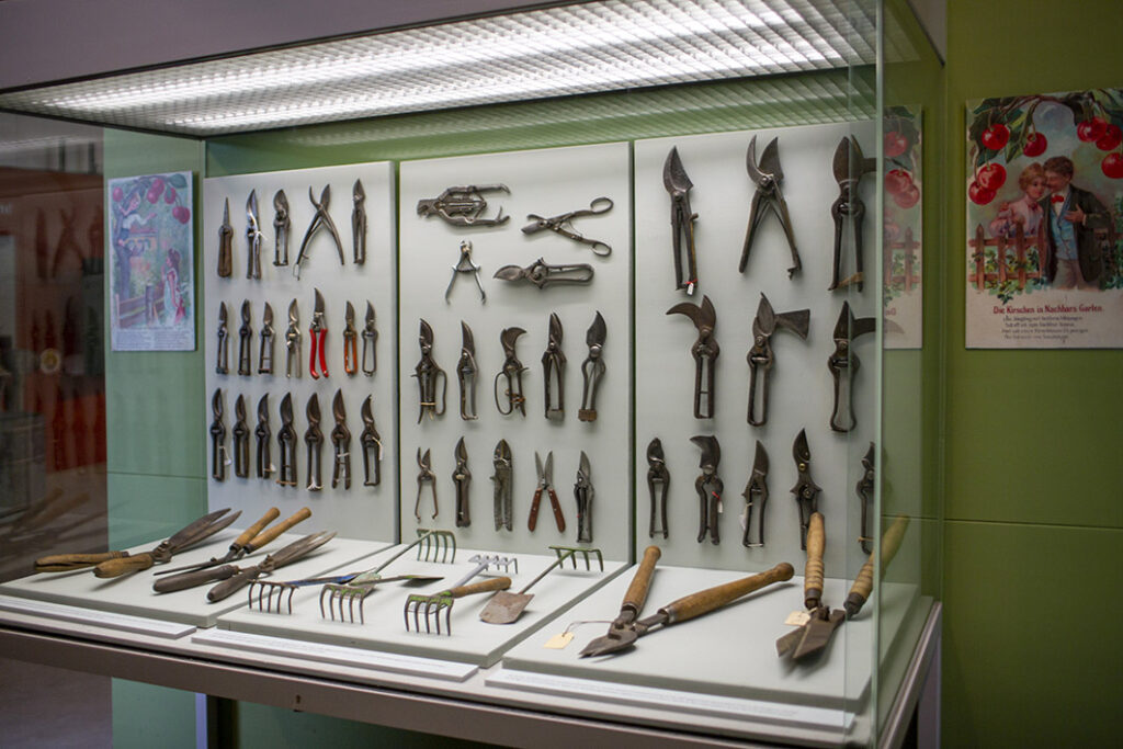 Museum der Gartenkultur / Illertisser Gartentage 2025