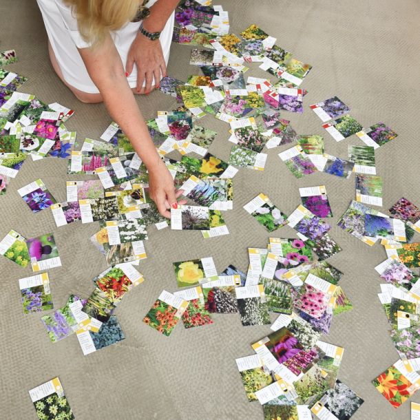 Aus Karten, die wir nebeneinander legten, wurde ein digitales Tool zur Planung von Pflanzkombinationen – so entstand Pflanzenreich.