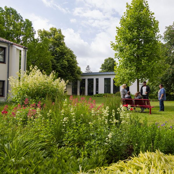 Pflanzenreich by Petra Pelz