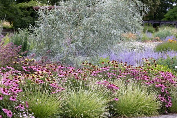BUGA Erfurt, Mediterrane Pflanzung, Planung: Petra Pelz, Foto: Sylvia Knittel